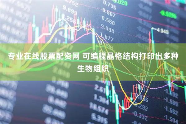 专业在线股票配资网 可编程晶格结构打印出多种生物组织
