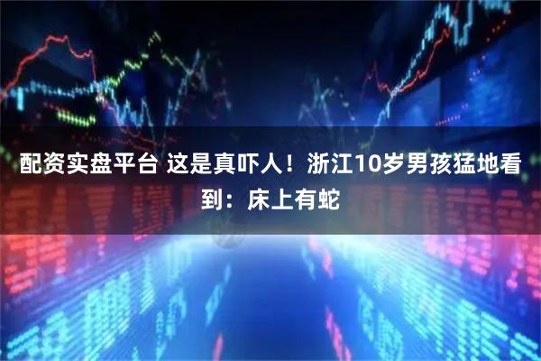 配资实盘平台 这是真吓人！浙江10岁男孩猛地看到：床上有蛇