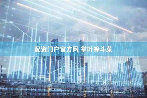 配资门户官方网 掌叶蜂斗菜